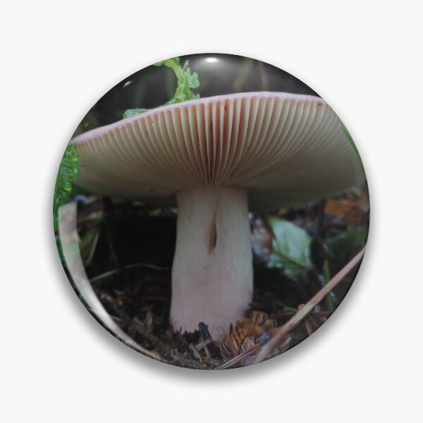 Item preview, Pacific Russula Gill Shot designed and sold by WolfNoodles.