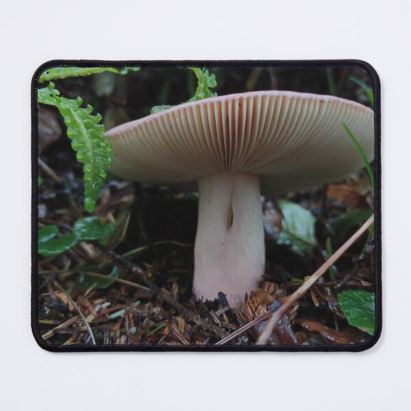 Item preview, Pacific Russula Gill Shot designed and sold by WolfNoodles.