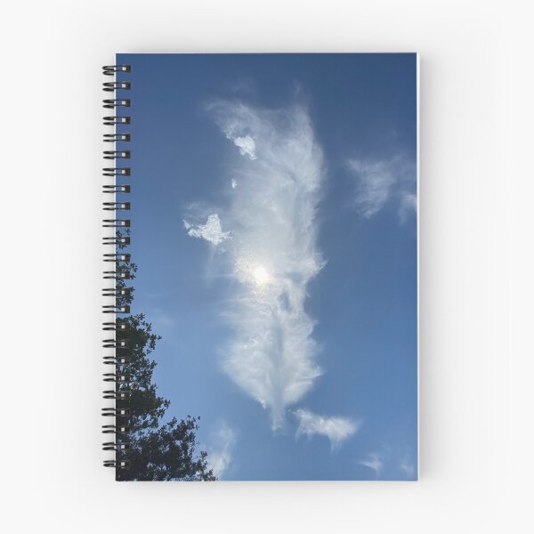 Item preview, “A Feather in the Sky” designed and sold by AceScapes.