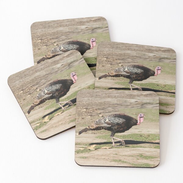 Item preview, Go Away! Today Is Not Thanksgiving Day! designed and sold by heatherfriedman.