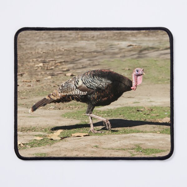Item preview, Go Away! Today Is Not Thanksgiving Day! designed and sold by heatherfriedman.