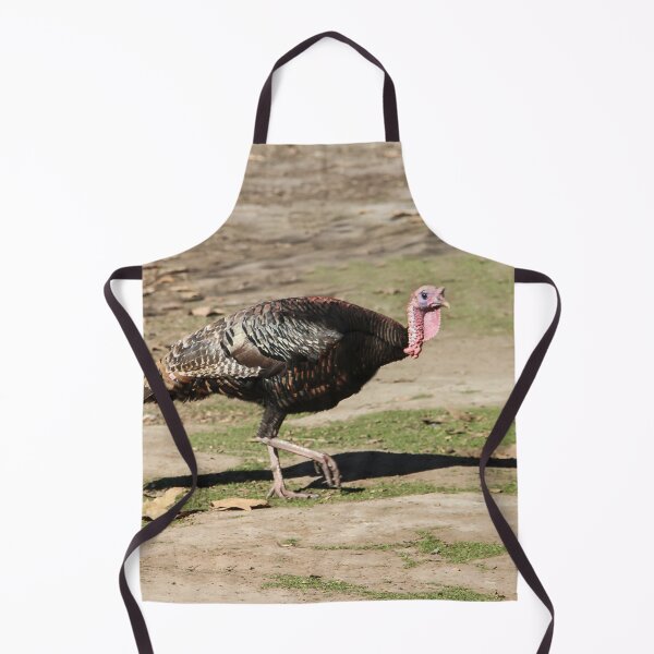 Item preview, Go Away! Today Is Not Thanksgiving Day! designed and sold by heatherfriedman.