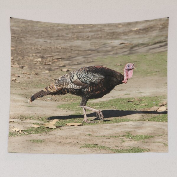 Item preview, Go Away! Today Is Not Thanksgiving Day! designed and sold by heatherfriedman.