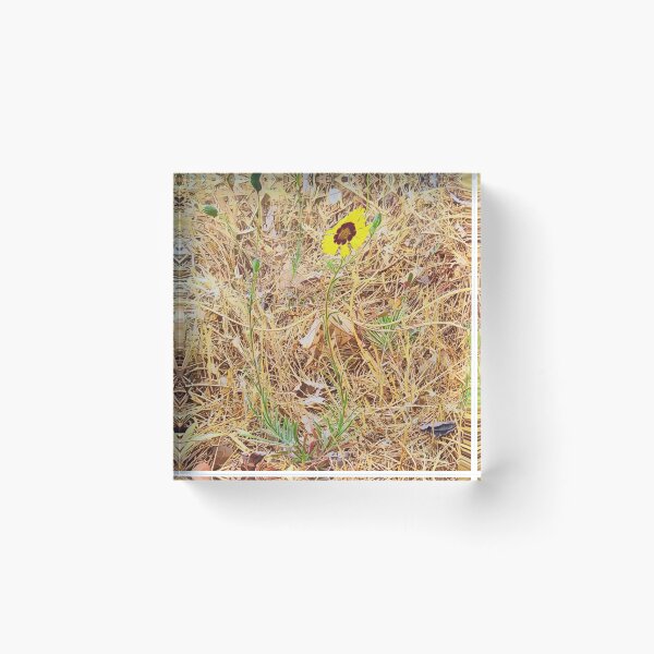 Item preview, Wildflower designed and sold by Fantasy2Reality.