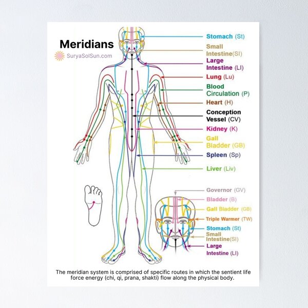 Item preview, Meridians in the Body (SuryaSolSun.com) designed and sold by SuryaSolSun.