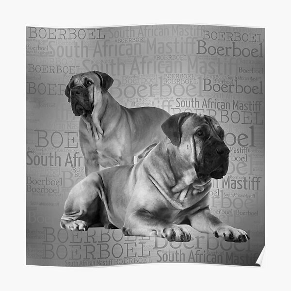 copperhead boerboels