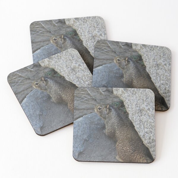 Item preview, What's Down There? designed and sold by heatherfriedman.