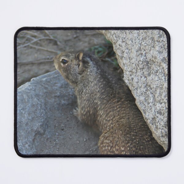Item preview, What's Down There? designed and sold by heatherfriedman.
