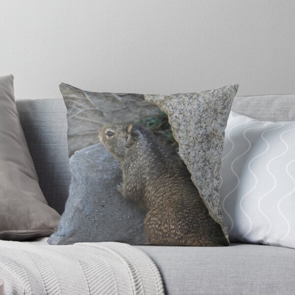 Item preview, What's Down There? designed and sold by heatherfriedman.