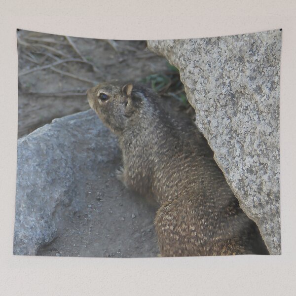Item preview, What's Down There? designed and sold by heatherfriedman.
