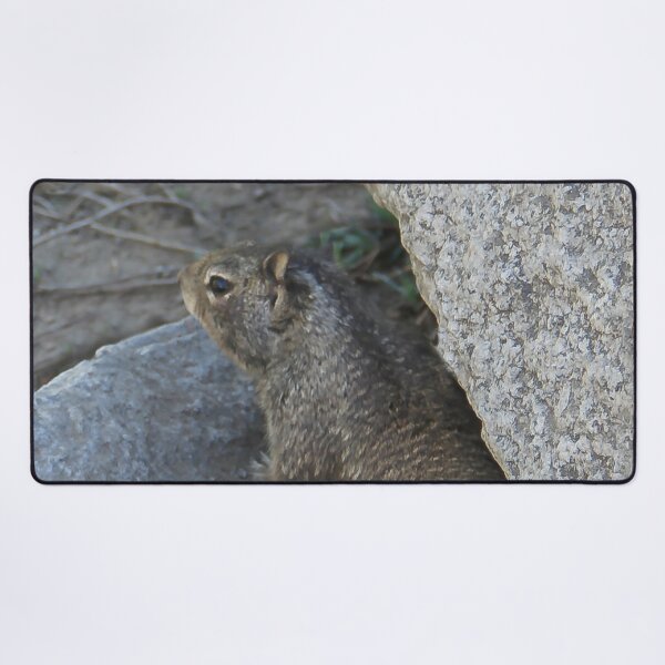Item preview, What's Down There? designed and sold by heatherfriedman.