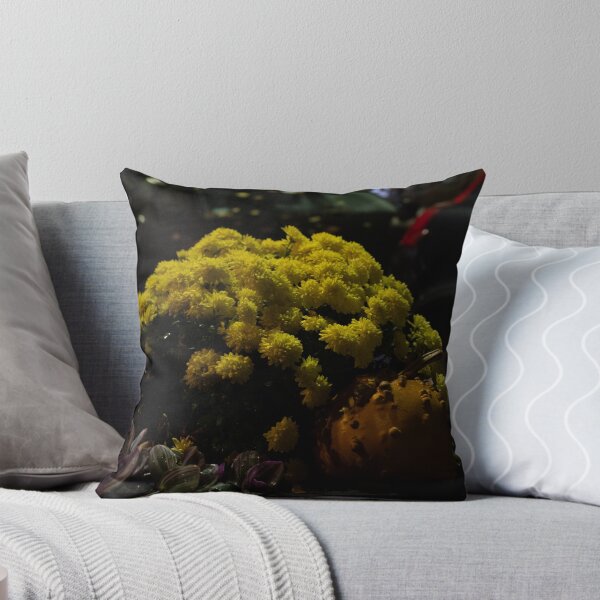 Item preview, Golden Blooms and Pumpkins in Boston’s South End   designed and sold by BadWolfStudios.