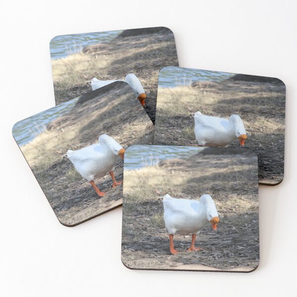 Item preview, What's That?  Is It Food? designed and sold by heatherfriedman.