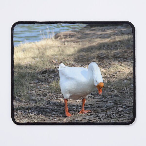 Item preview, What's That? Is It Food? designed and sold by heatherfriedman.