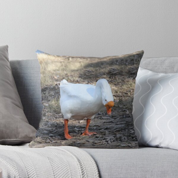 Item preview, What's That?  Is It Food? designed and sold by heatherfriedman.