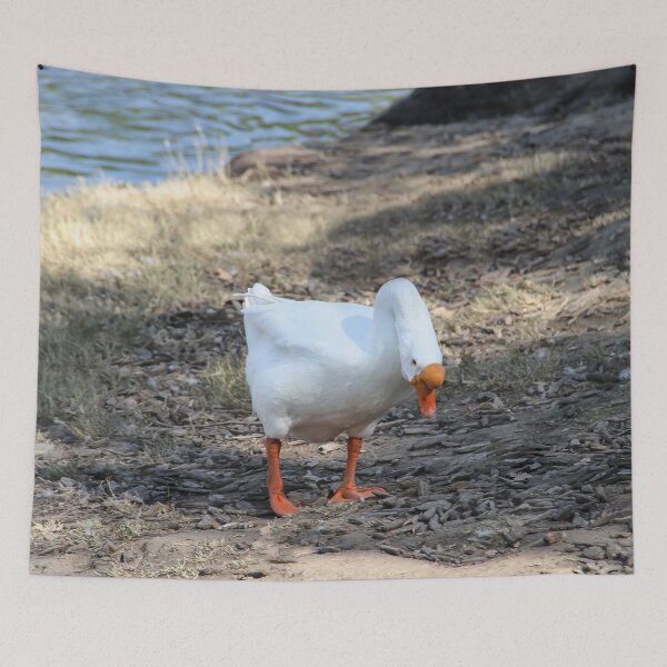 Item preview, What's That?  Is It Food? designed and sold by heatherfriedman.