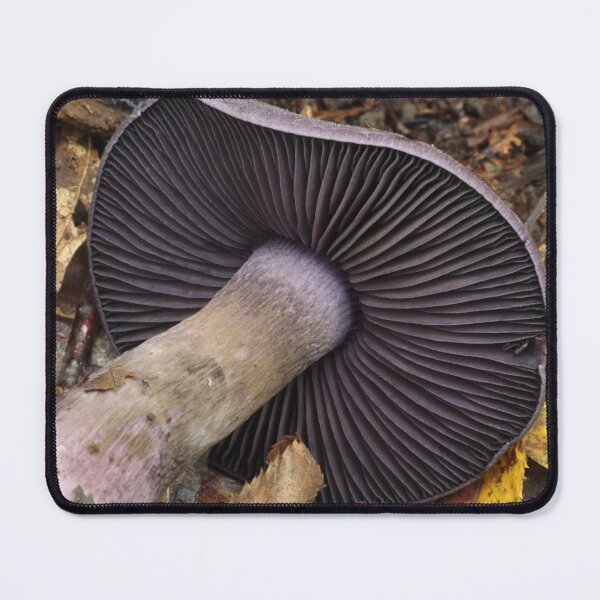 Item preview, Violet Cort Gills designed and sold by WolfNoodles.