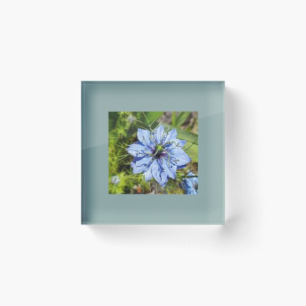 Item preview, Love in a Mist designed and sold by Mary Ellen Tuite.