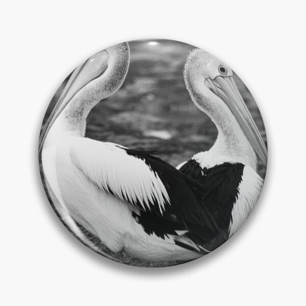 Item preview, Pelicans designed and sold by Robert Sturman.