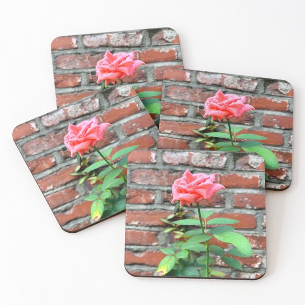 Item preview, Pink Rose Against a Brick Wall | Aesthetic Flowers designed and sold by YemmyZImages.