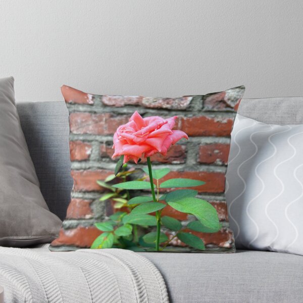 Item preview, Pink Rose Against a Brick Wall | Aesthetic Flowers designed and sold by YemmyZImages.