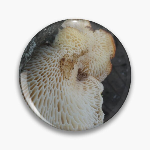 Item preview, Hexagonal Polypore Underside designed and sold by WolfNoodles.