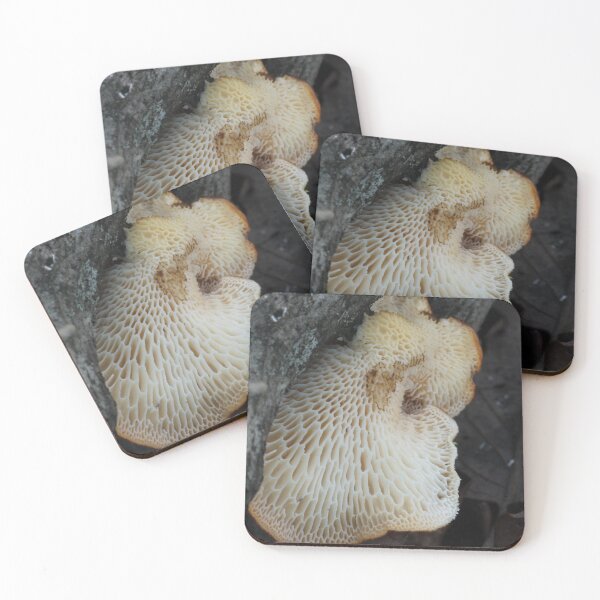 Item preview, Hexagonal Polypore Underside designed and sold by WolfNoodles.