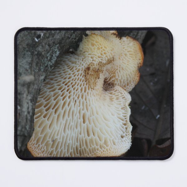 Item preview, Hexagonal Polypore Underside designed and sold by WolfNoodles.