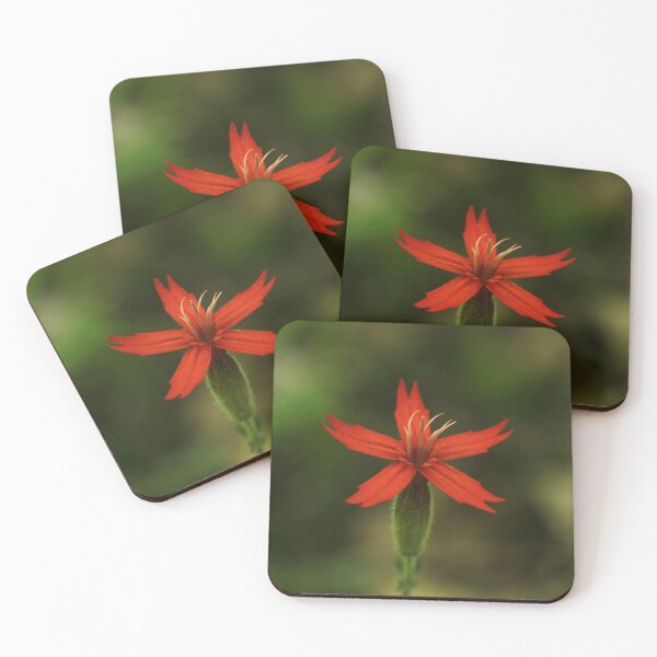 Item preview, Red Five Petaled Flower designed and sold by WolfNoodles.