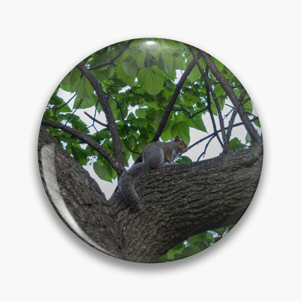 Item preview, Solstice Squirrel   designed and sold by BadWolfStudios.