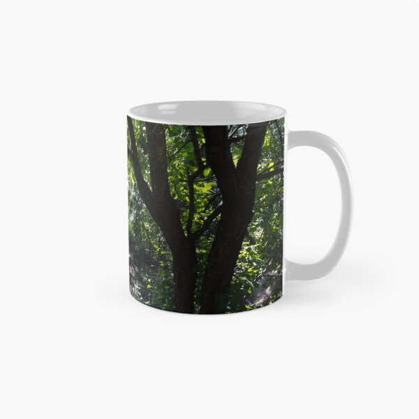 Item preview, Forest Pathway   designed and sold by BadWolfStudios.