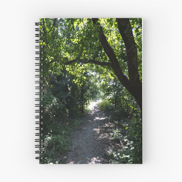 Item preview, Forest Pathway   designed and sold by BadWolfStudios.