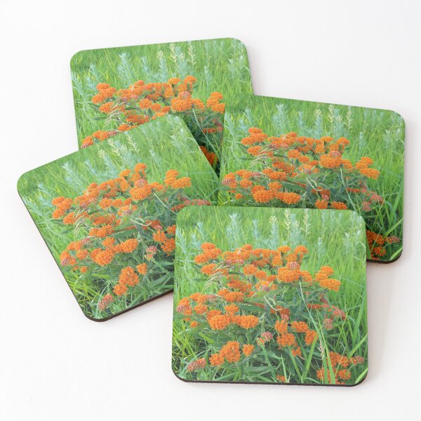Item preview, A spot of orange designed and sold by JJPumpkins.