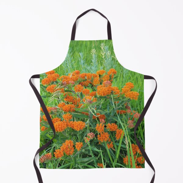 Item preview, A spot of orange designed and sold by JJPumpkins.