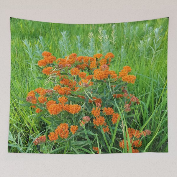 Item preview, A spot of orange designed and sold by JJPumpkins.