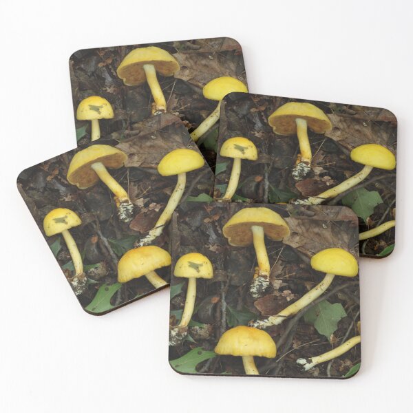Item preview, Egg Bolete Gathering designed and sold by WolfNoodles.