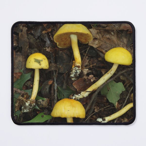 Item preview, Egg Bolete Gathering designed and sold by WolfNoodles.