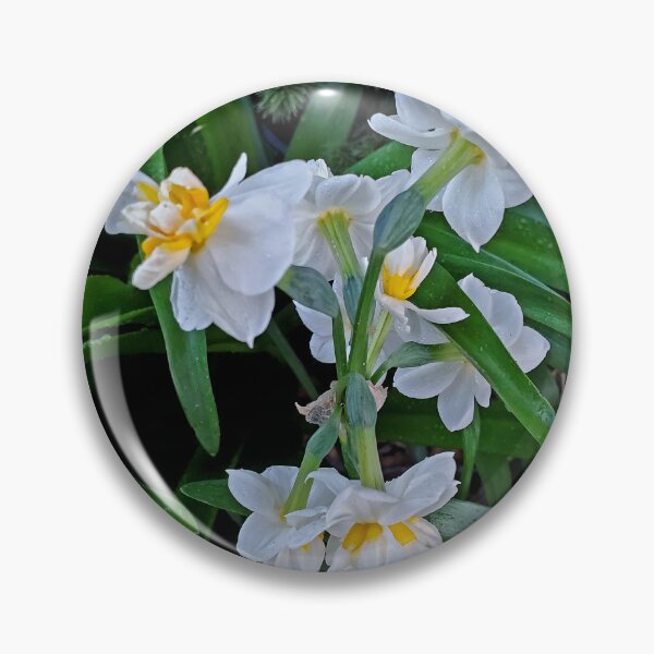 Item preview, Floral - Daffodil the Flower of Hope by Wagonesta  designed and sold by Wagonesta.