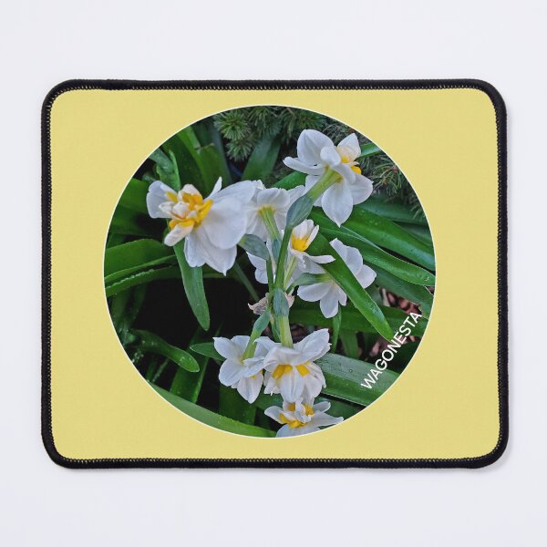 Item preview, Floral - Daffodil the Flower of Hope by Wagonesta designed and sold by Wagonesta.