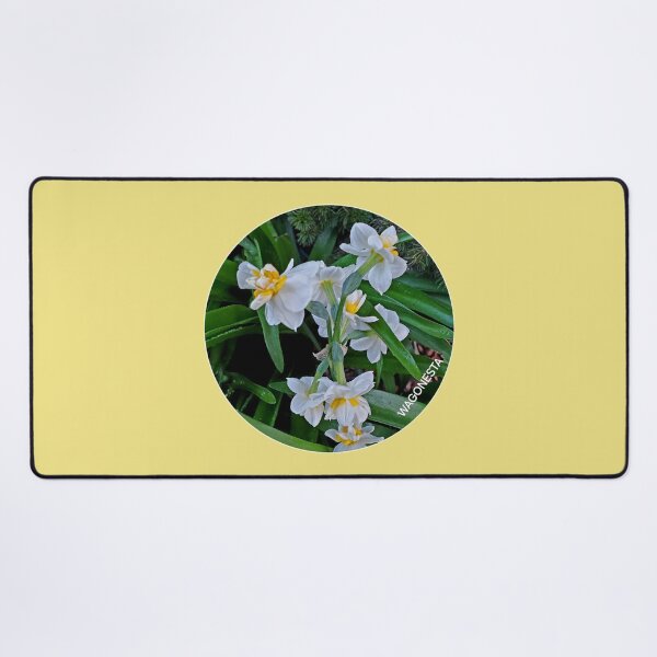 Item preview, Floral - Daffodil the Flower of Hope by Wagonesta designed and sold by Wagonesta.