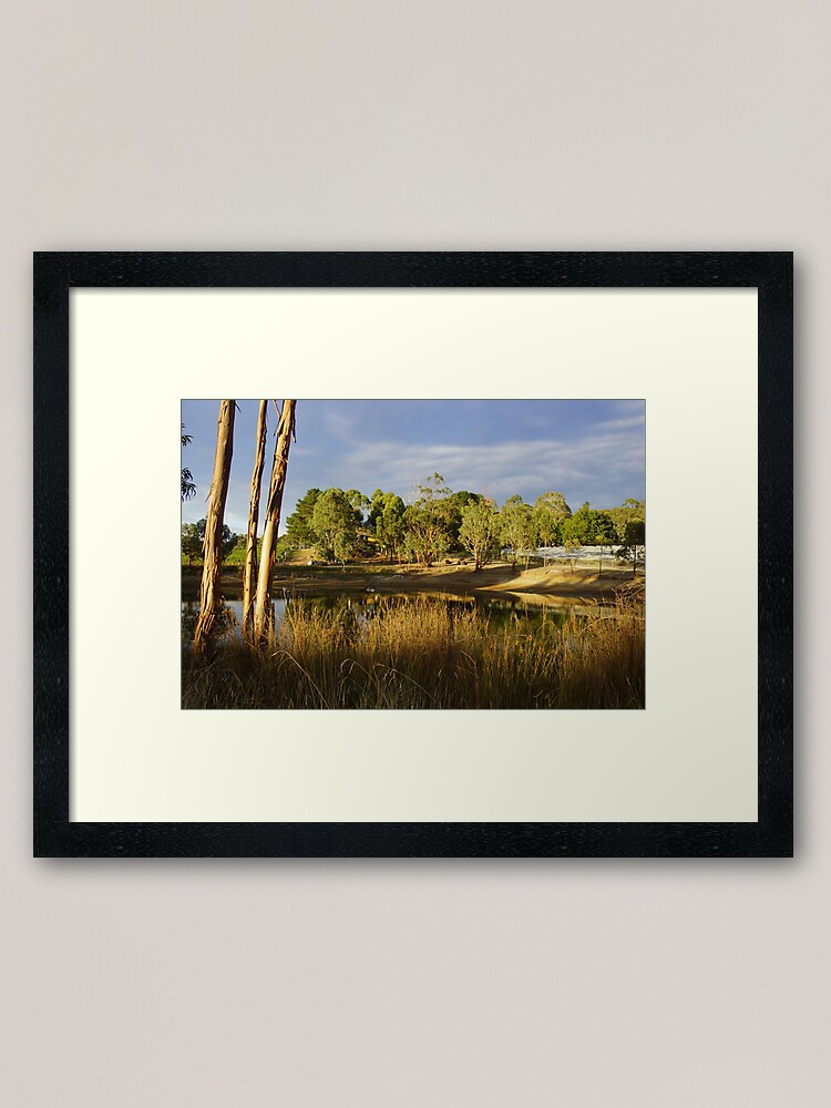 Thumbnail 1 of 7, Framed Art Print, Summer by the Dam - Adelaide Hills Wine Region - Fleurieu Peninsula by South Australian artist Avril Thomas designed and sold by MagpieSprings.