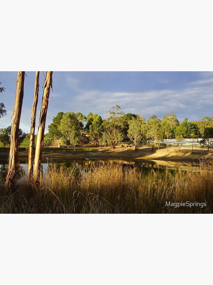 Thumbnail 7 of 7, Framed Art Print, Summer by the Dam - Adelaide Hills Wine Region - Fleurieu Peninsula by South Australian artist Avril Thomas designed and sold by MagpieSprings.