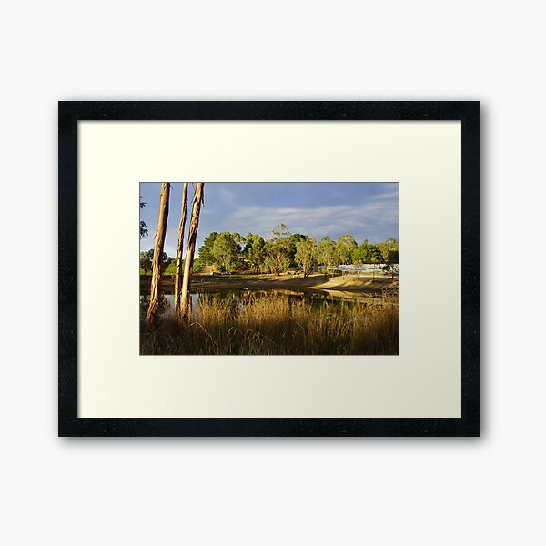 Framed Art Print