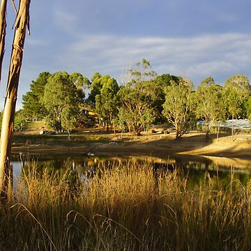 Artwork thumbnail, Summer by the Dam - Adelaide Hills Wine Region - Fleurieu Peninsula by South Australian artist Avril Thomas by MagpieSprings