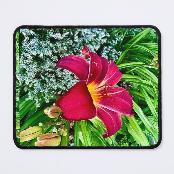 Item preview, Lily and Evergreen designed and sold by JWPortman.
