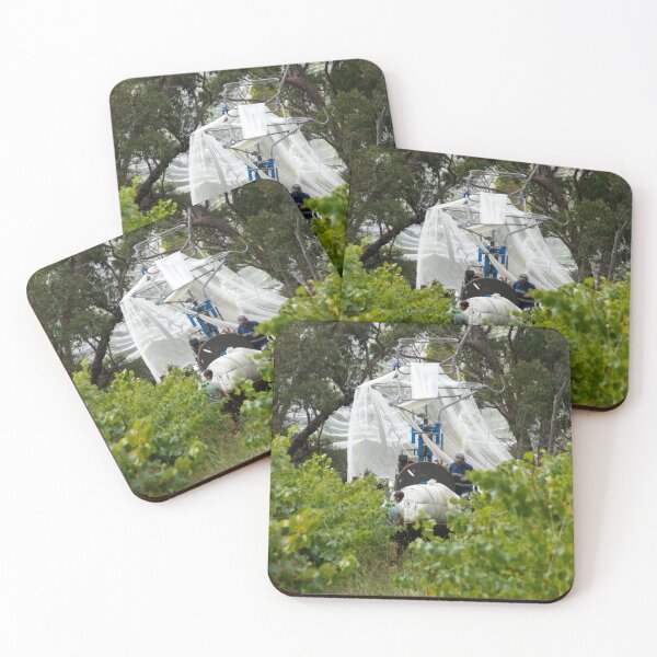 Item preview, The Nets come Off by Adelaide artist Avril Thomas at Magpie Springs designed and sold by MagpieSprings.