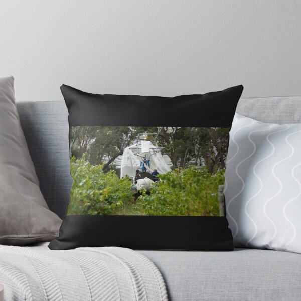 Item preview, The Nets come Off by Adelaide artist Avril Thomas at Magpie Springs designed and sold by MagpieSprings.
