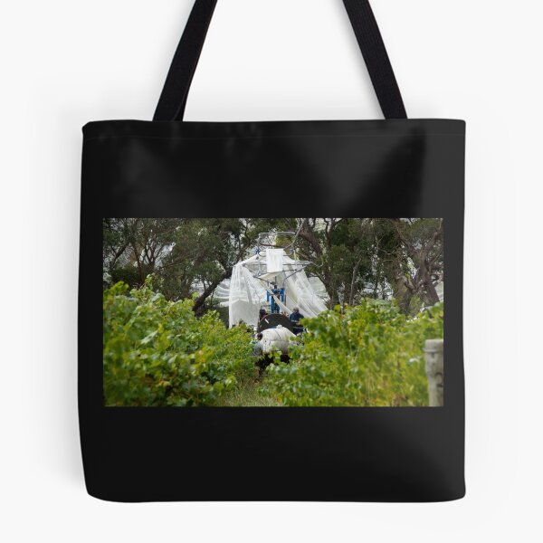 Item preview, The Nets come Off by Adelaide artist Avril Thomas at Magpie Springs designed and sold by MagpieSprings.
