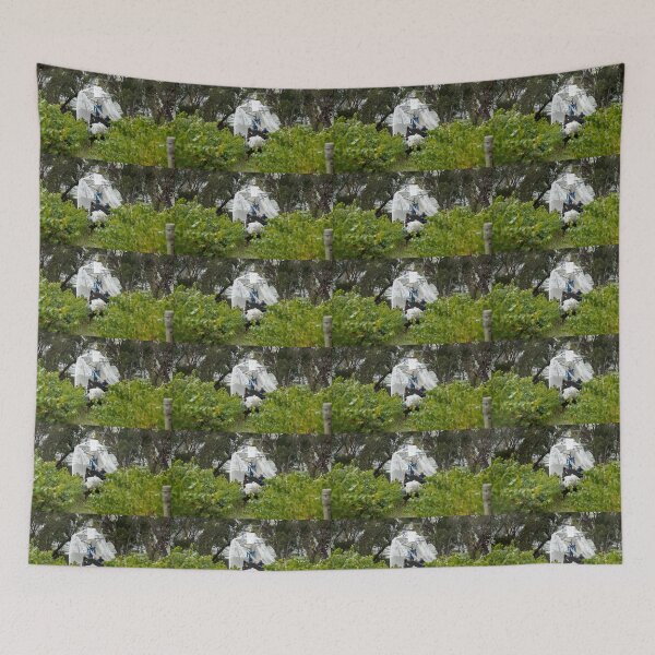 Item preview, The Nets come Off by Adelaide artist Avril Thomas at Magpie Springs designed and sold by MagpieSprings.