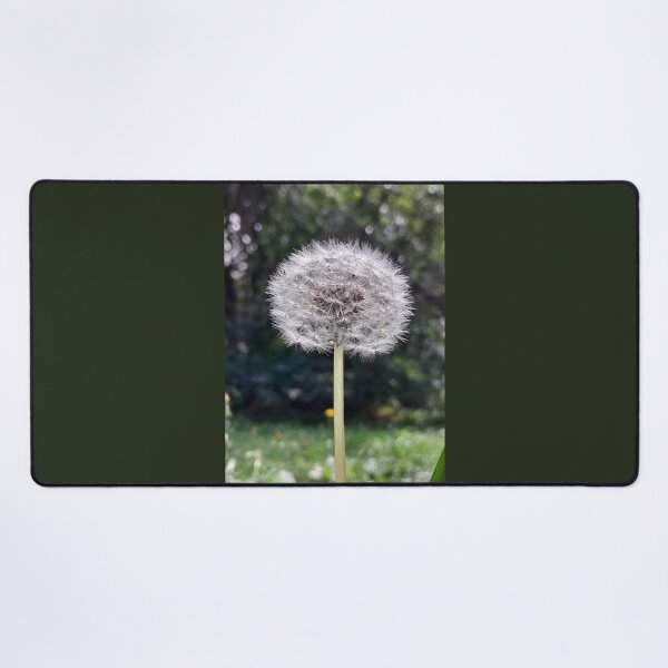 Item preview, Dandelion Spirit designed and sold by RebeccaNZ.